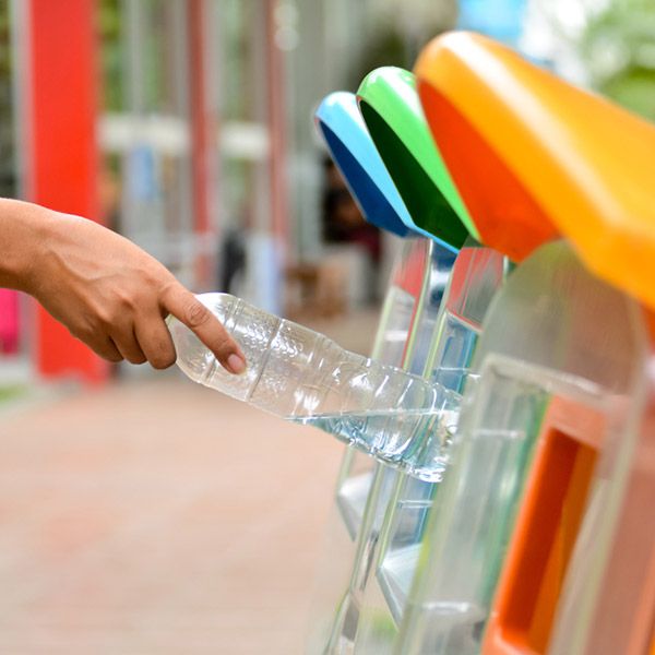 Sensibilisation aux problématiques environnementales | Mon Coach au Bureau